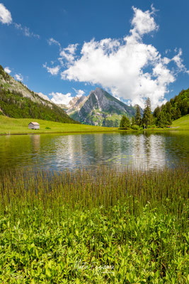 Switzerland - Toggenburg