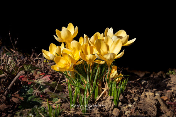 Switzerland - Aargau