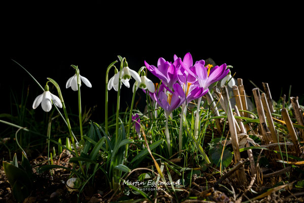 Switzerland - Aargau