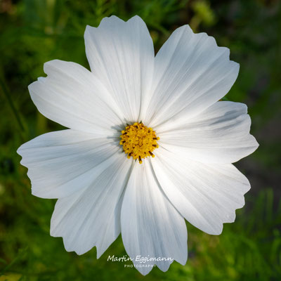 Switzerland - Aargau