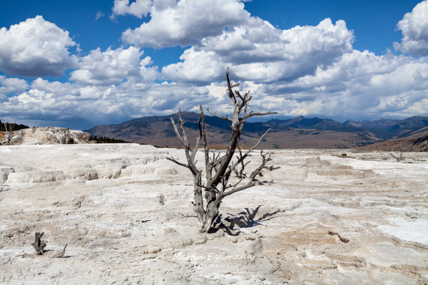 USA - Yellowstone NP