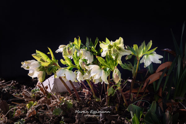 Switzerland - Aargau