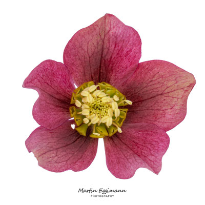 Switzerland - Aargau