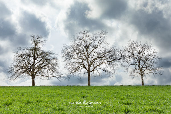 Switzerland - Aargau