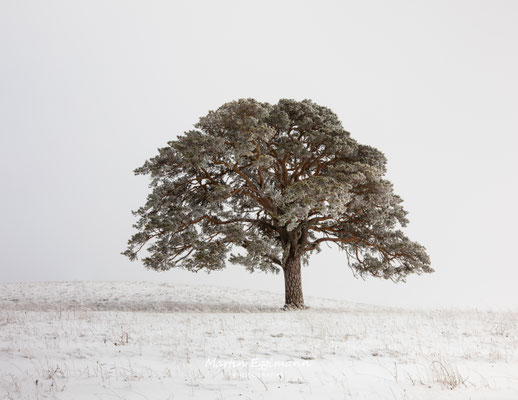 Switzerland - Solothurn
