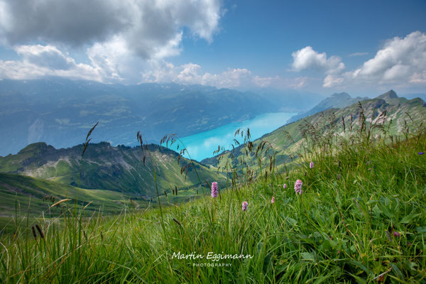 Switzerland - Brienzer Rothorn