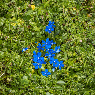 Switzerland - Churfirsten