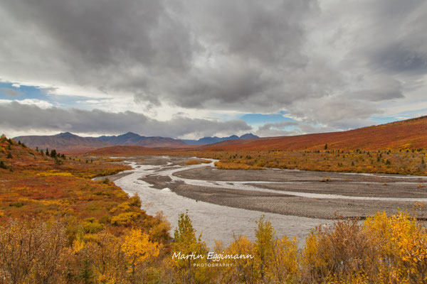 USA - Alaska - Denali NP