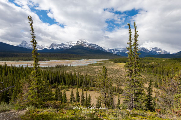 Canada - Alberta - Icefield Parkway