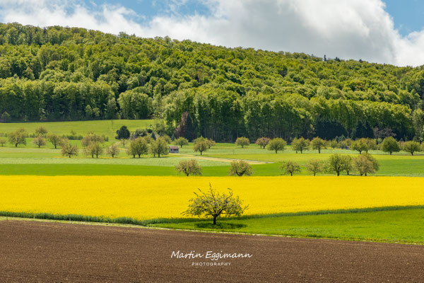 Switzerland - Baselland 