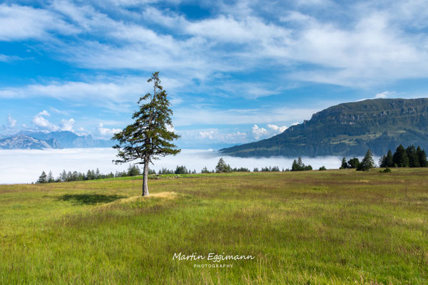 Switzerland - Flumserberg