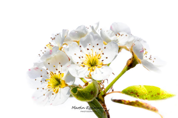 Switzerland - Aargau