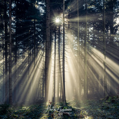 Switzerland - Aargau