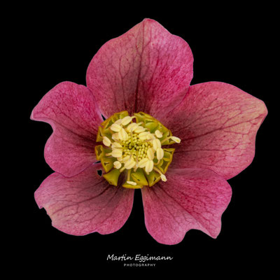 Switzerland - Aargau