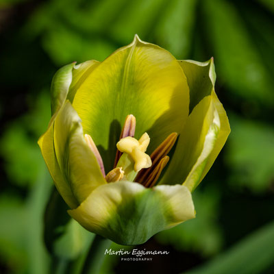 Switzerland - Aargau