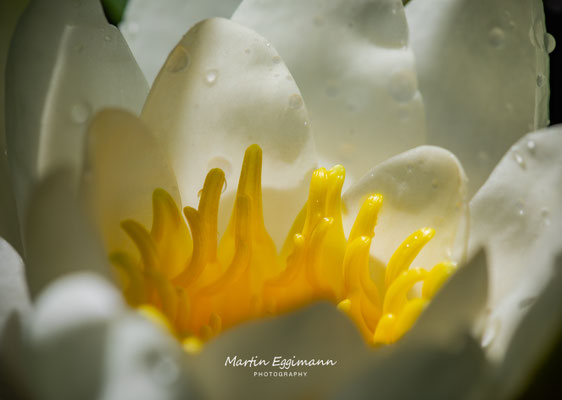 Switzerland - Aargau