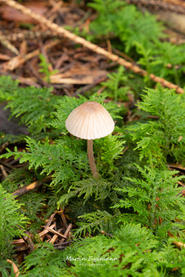 Switzerland - Aargau