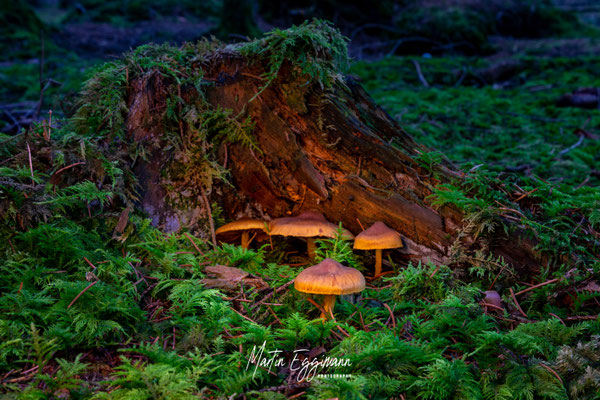 Switzerland - Aargau