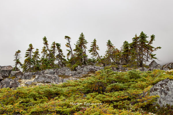 Canada - British Columbia - Klondike Highway