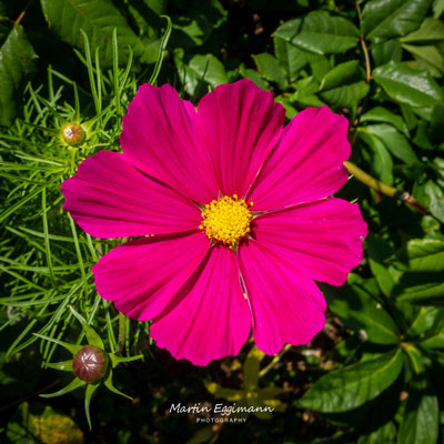 Switzerland - Aargau