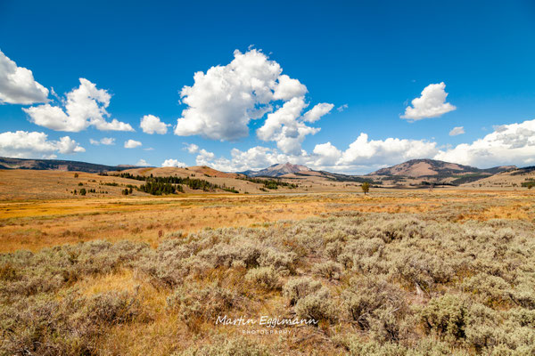 USA - Yellowstone NP
