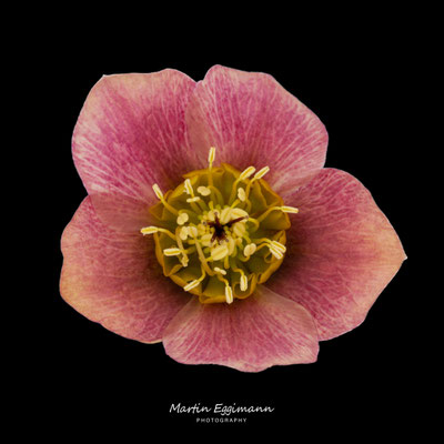 Switzerland - Aargau