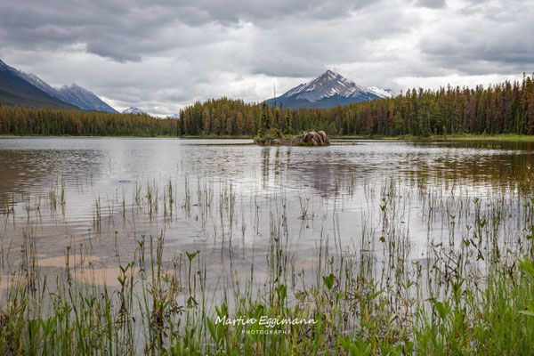 Canada - Alberta - Heneymoon Lake