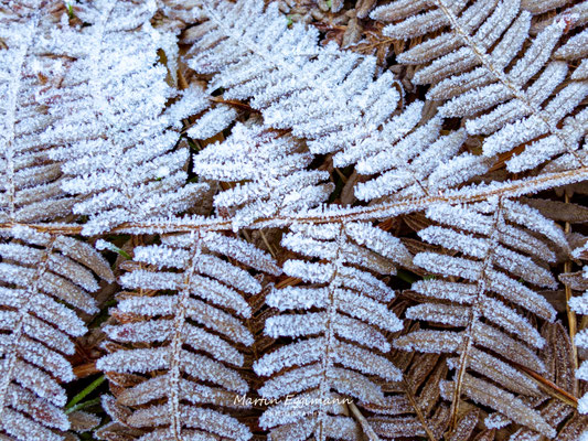 Switzerland - Aargau