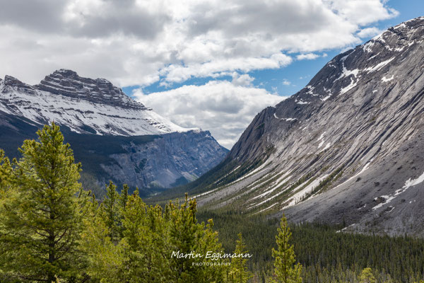 Canada - Alberta - Icefield Parkway