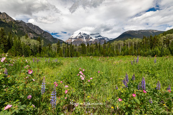 Canada - Britisch Columbia - Mount Robson