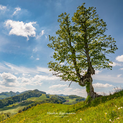 Switzerland - Baselland 