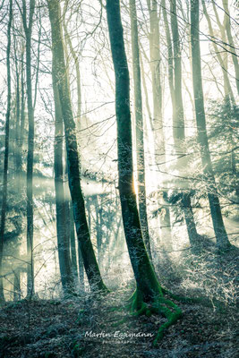 Switzerland - Aargau