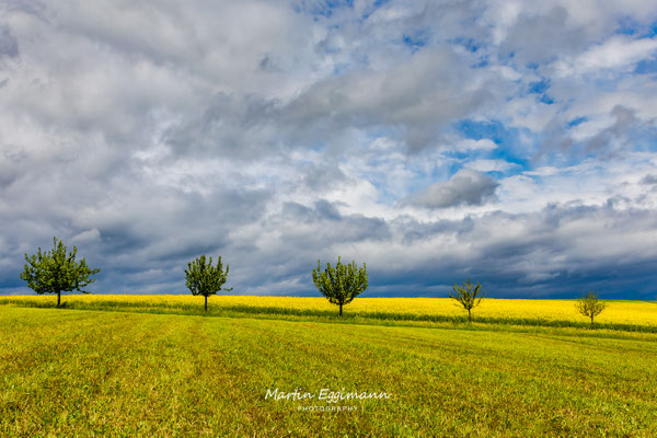 Switzerland - Baselland 