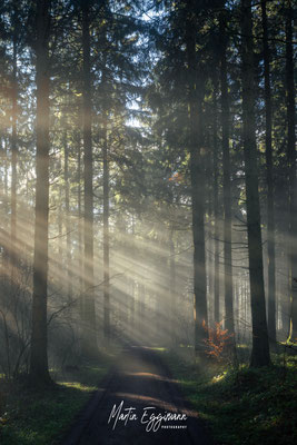 Switzerland - Aargau