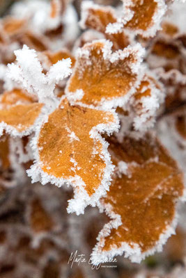 Switzerland - Baselland