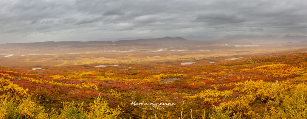 USA - Alaska -Denali NP