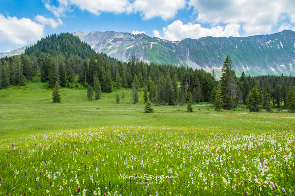 Switzerland - Entlebuch