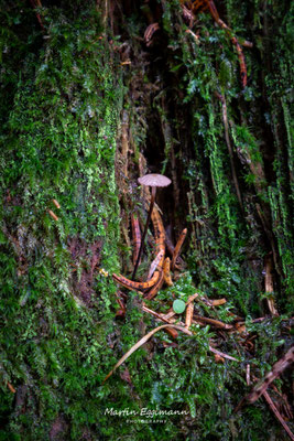 Switzerland - Aargau