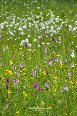 Switzerland - Entlebuch