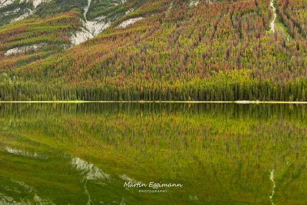 Canada - Alberta - Beaver Lake