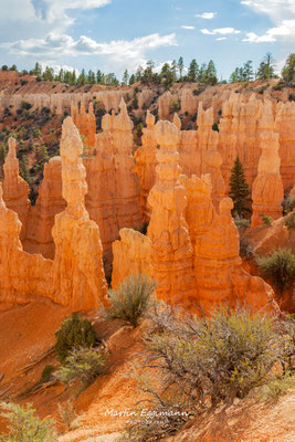 USA - Utah - Bryce Canyon NP