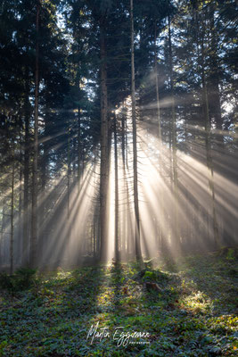 Switzerland - Aargau