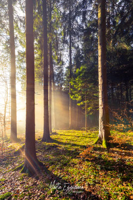 Switzerland - Aargau