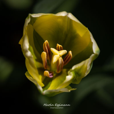 Switzerland - Aargau