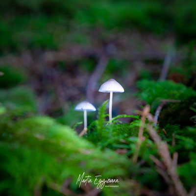 Switzerland - Aargau