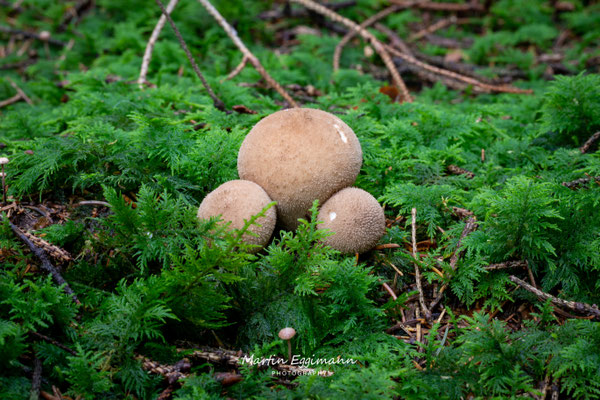 Switzerland - Aargau