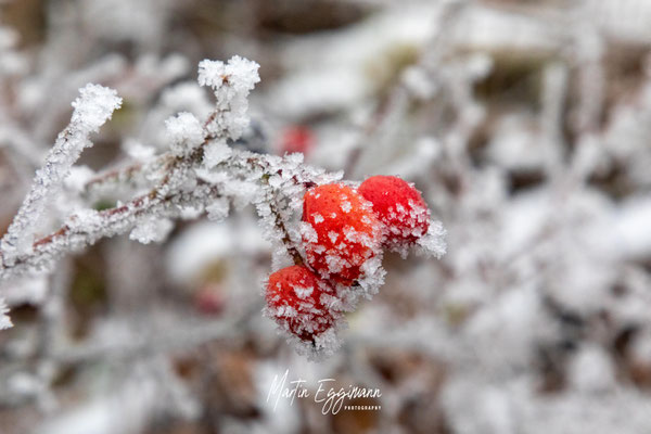 Switzerland - Baselland