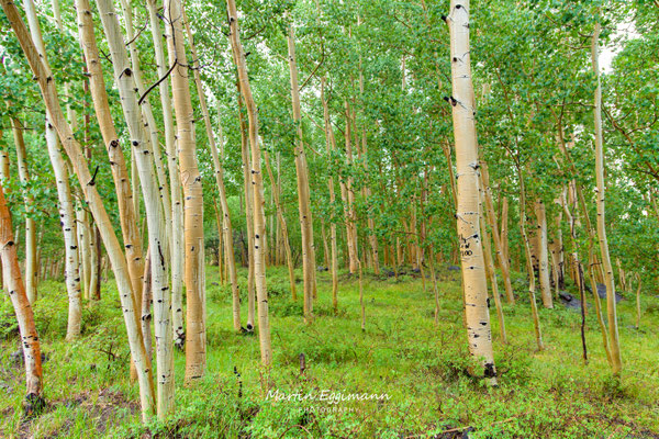 USA - Utah - Roadway Scene