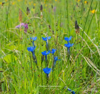 Switzerland - Entlebuch