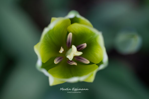 Switzerland - Aargau